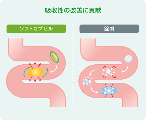 吸収性の改善に貢献