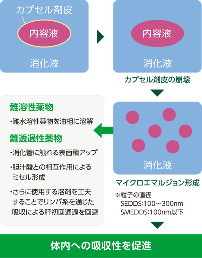 カプセル溶剤の崩壊→マイクロエマルジョン形成→難溶性薬物:難水溶性薬物を油相に溶解。難透過性薬物:消化管に触れる表面積アップ、胆汁酸との相互作用によるミセル形成、さらに使用する溶剤を工夫することでリンパ系を通じた九州による肝初回通過を回避。 体内の吸収性を促進。
