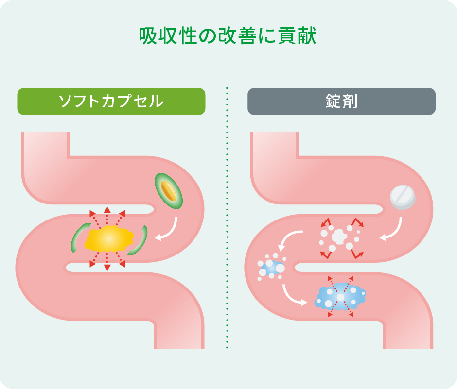 吸収性の改善に貢献